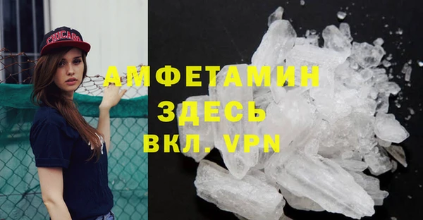 индика Аркадак