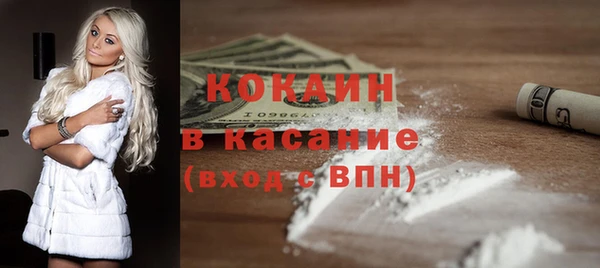 индика Аркадак