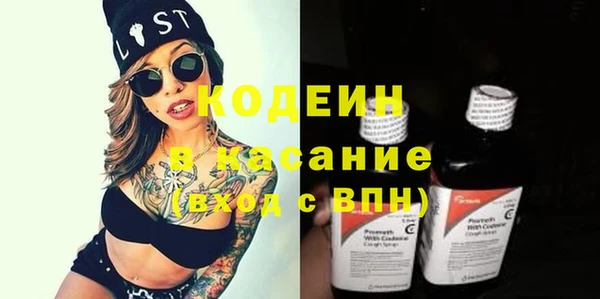 индика Аркадак