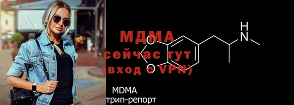 индика Аркадак