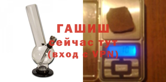 индика Аркадак