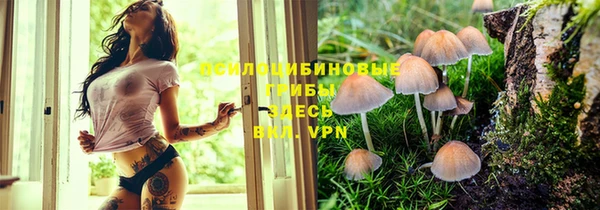 альфа пвп Покров