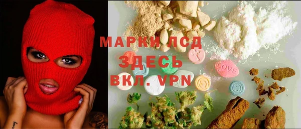 индика Аркадак