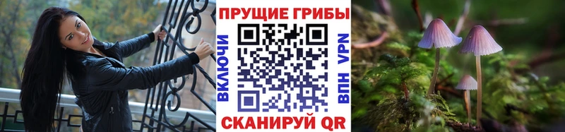 кракен ONION  Старый Крым  Галлюциногенные грибы Psilocybe 